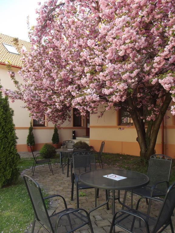 Pannon Hotel Bejelentkezes 20 Oraig, Check-In Until 20 O'Clock, Einchecken Bis 20 Uhr Мохач Экстерьер фото